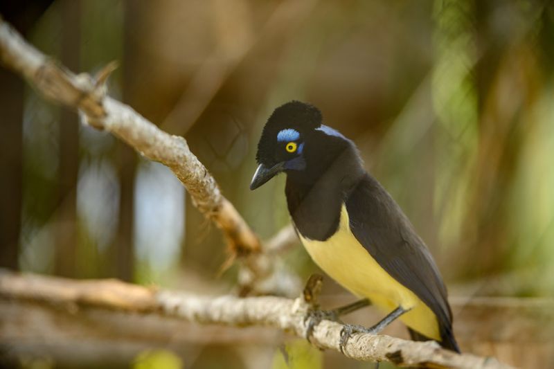 16  bioparquedurazno 2019