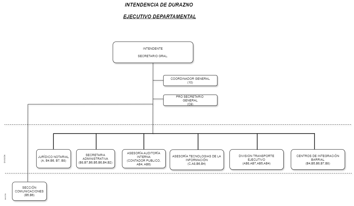 Estructura ejecutivo